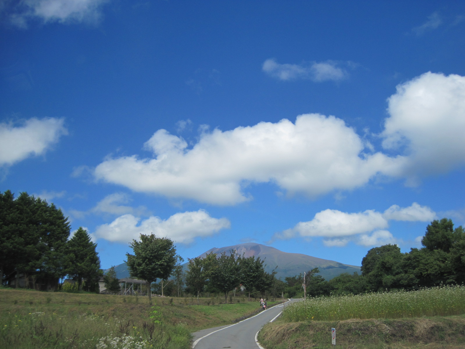 f0236260_1433810.jpg