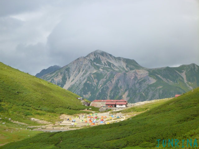 d0110562_823098.jpg