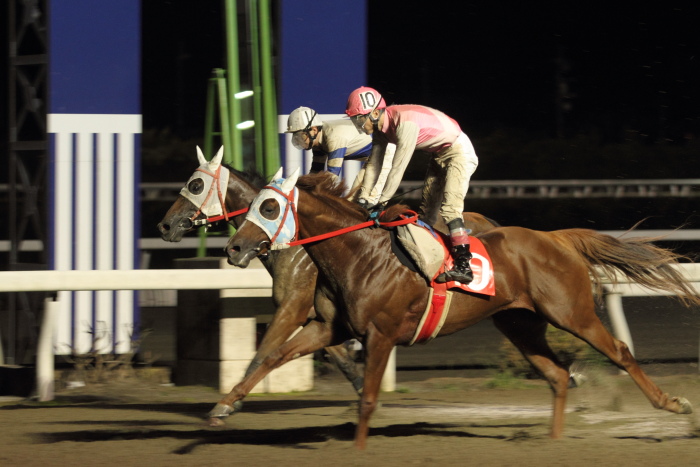 2012年9月15日（土） 高知競馬 9R 四万十青さのり特別 C2-1選抜馬 その2_a0077663_37363.jpg