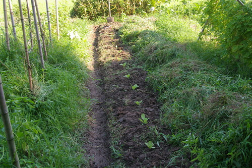 e0065967_22382782.jpg