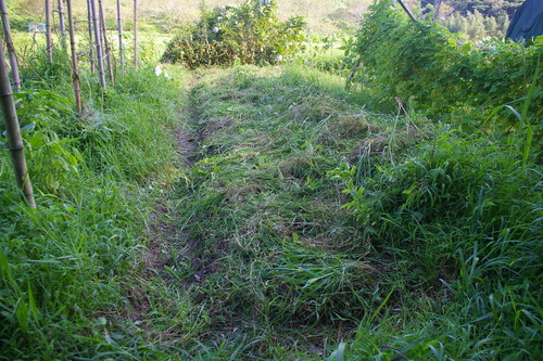 e0065967_22413357.jpg