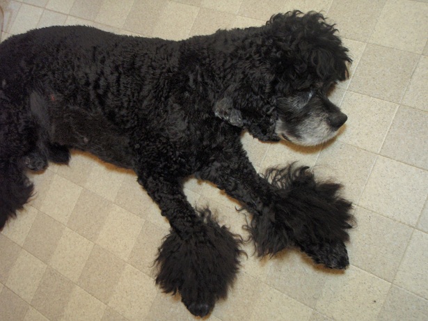 f0096569_70156.jpg