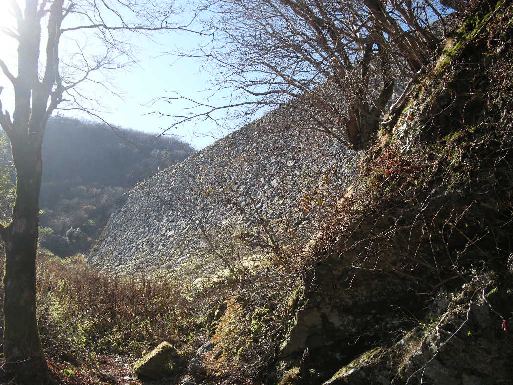 b0185573_22433225.jpg