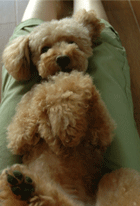c0196673_8365264.gif