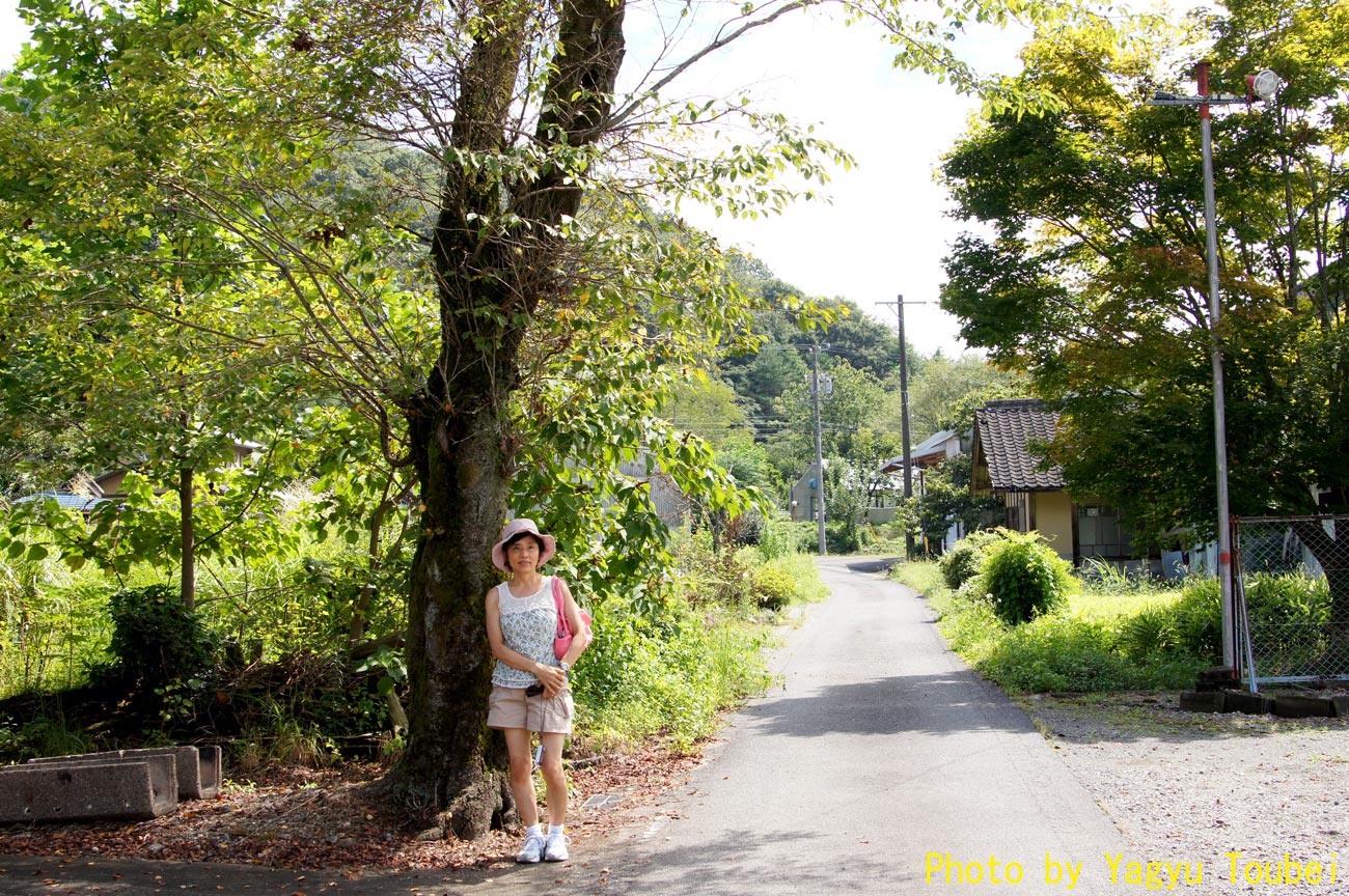 田舎道 とことん写真 田舎道 とことん写真