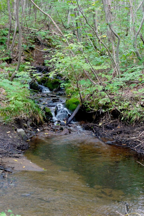 b0129477_2111848.jpg