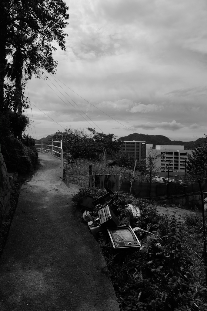 f0167977_03512.jpg