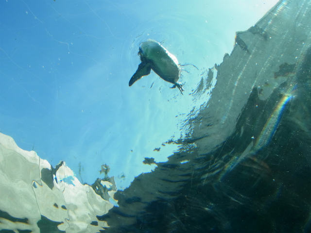 e0003090_8551972.jpg