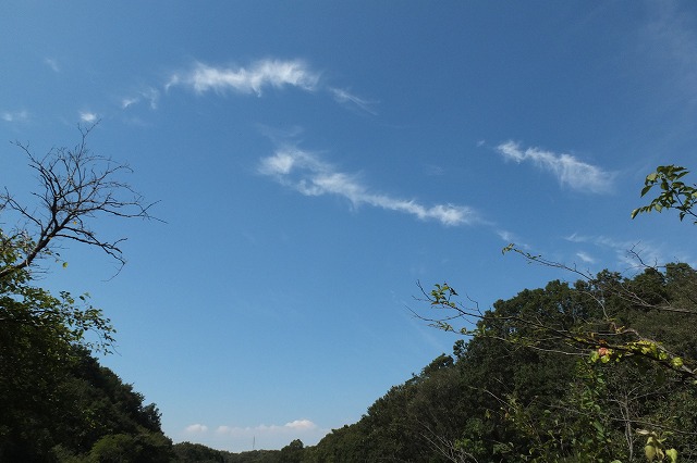 ■　案山子のある風景　　　12.9.18_e0070891_22134074.jpg