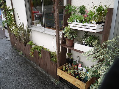 お知らせ ワークショップin菜つ芽_a0233896_15524352.jpg