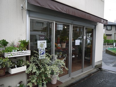 お知らせ ワークショップin菜つ芽_a0233896_155371.jpg