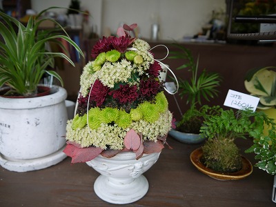 お知らせ ワークショップin菜つ芽_a0233896_1556258.jpg
