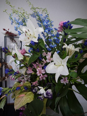 お知らせ ワークショップin菜つ芽_a0233896_1603578.jpg