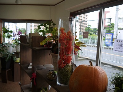 お知らせ ワークショップin菜つ芽_a0233896_1613769.jpg