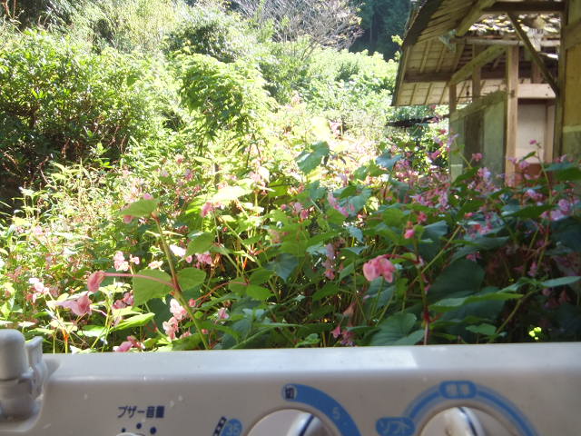 a0271502_923689.jpg