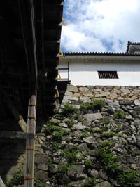 c0049902_2354358.jpg
