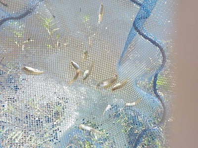 f0082402_2181844.jpg