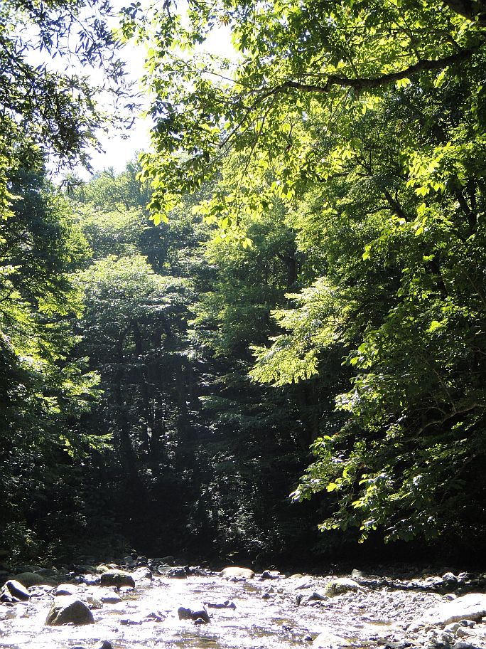 b0172805_046575.jpg