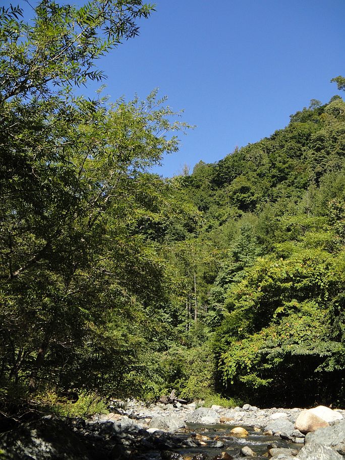 b0172805_845246.jpg