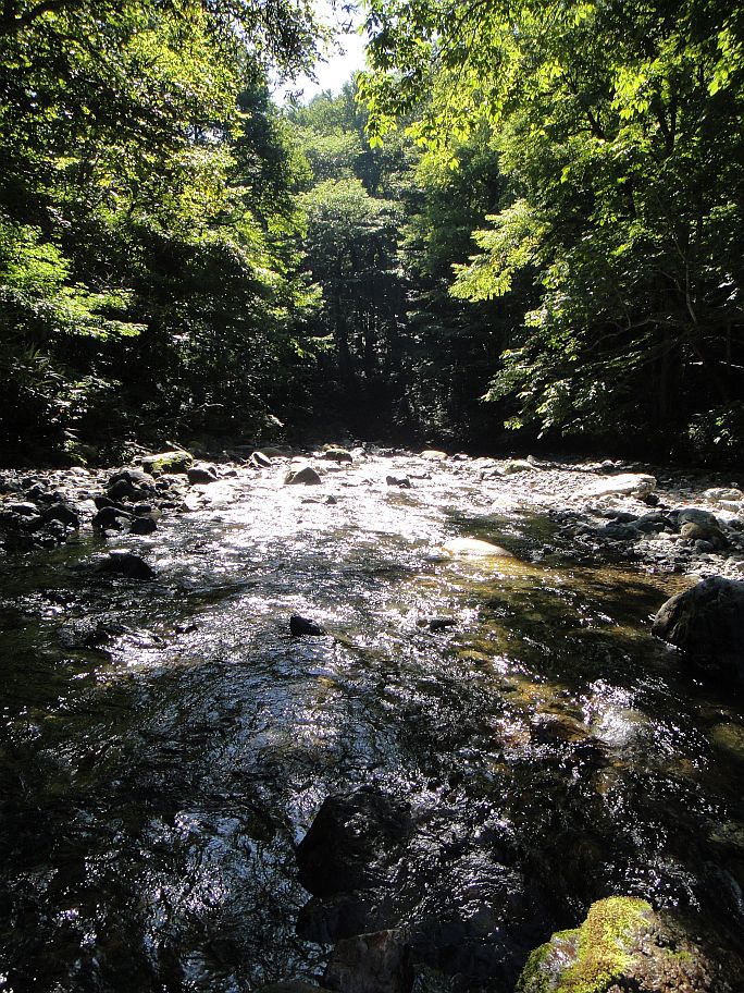 b0172805_9305953.jpg