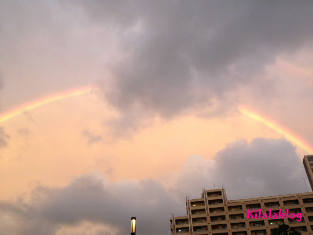 e0130008_23315837.jpg