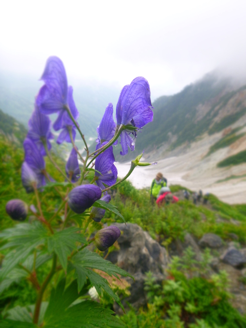 2012　白馬三山登山！　2日目_a0236914_15404530.jpg