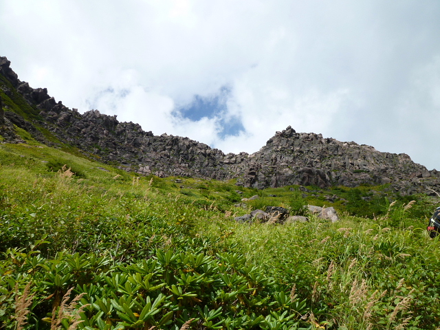 d0170615_1194366.jpg