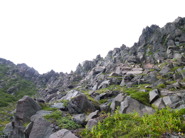 d0170615_1194524.jpg