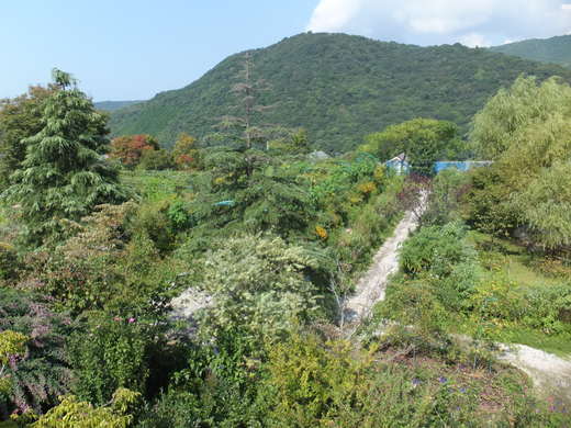 e0135518_1594821.jpg