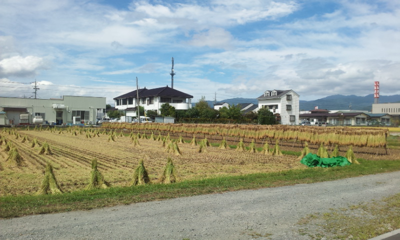 c0109726_1424508.jpg