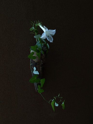 20120903.jpg