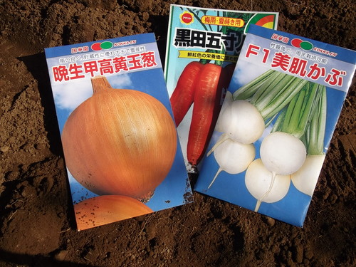 野菜の種の発芽は....人参、玉ねぎ等_b0137932_18301148.jpg