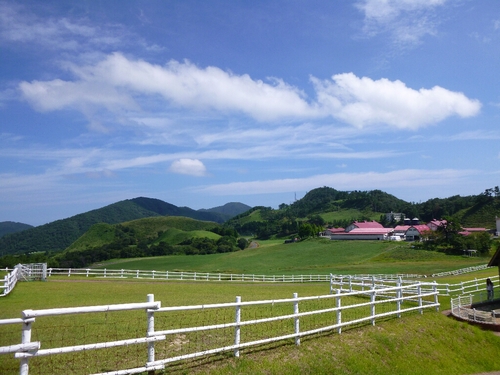 c0113733_0394425.jpg