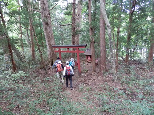 2012.9.18蕃山で観察会_f0003138_17293126.jpg