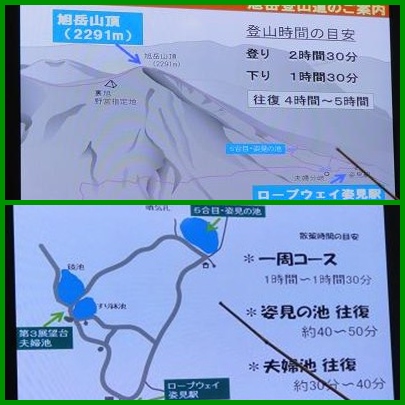 e0164643_1675592.jpg