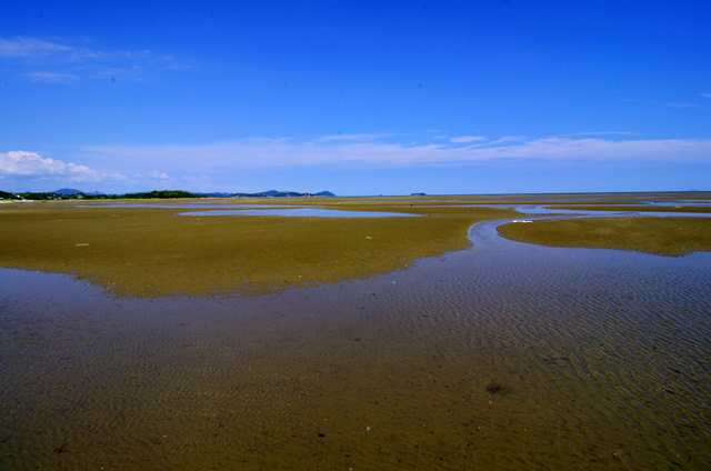 d0186245_14425374.jpg