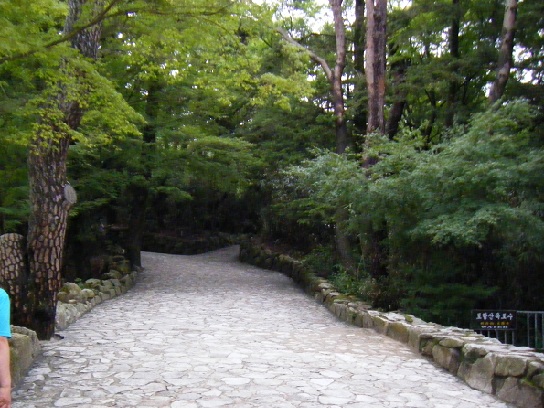 世界遺産・仏国寺を訪ねる_d0264854_21341599.jpg