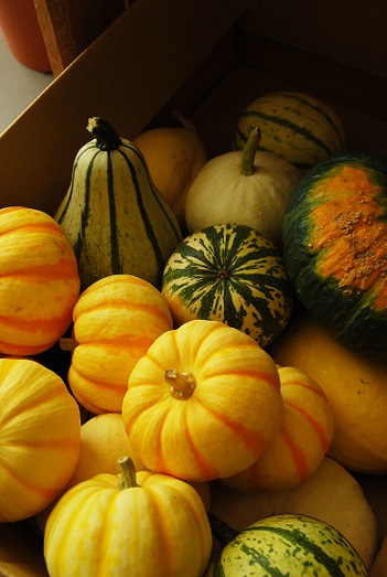 ハロウィン♪_a0201358_13595071.jpg
