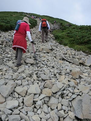 e0170558_14478.jpg
