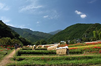 a0248459_17222938.jpg