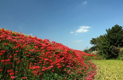 a0248459_17232449.jpg