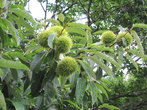 f0236260_23232327.jpg