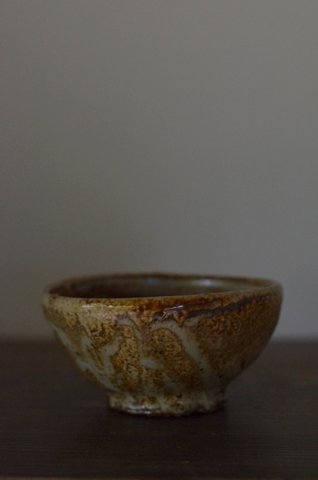 加地学 展 ~北の国から~ 5日目_d0087761_21354077.jpg