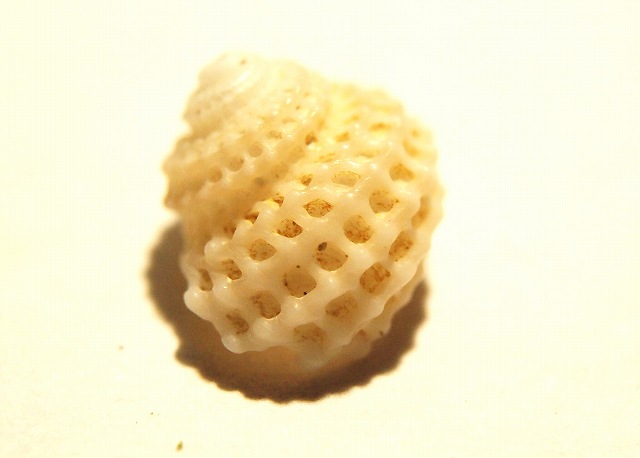 b0135573_657931.jpg