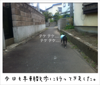 f0168374_11113113.png