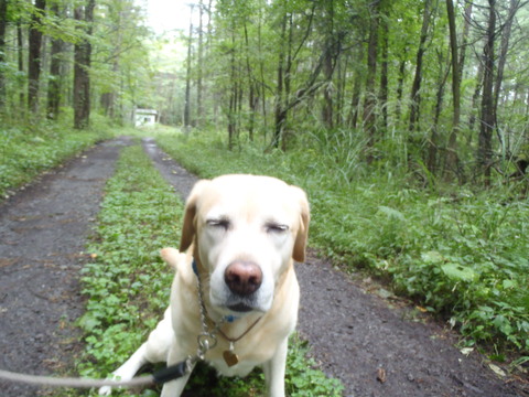 f0052277_22452297.jpg