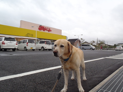 f0052277_23115699.jpg