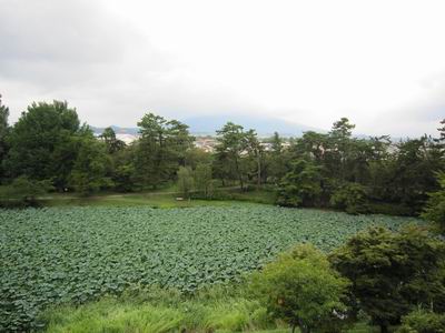 青森旅行②　不老ふ死温泉～大鰐温泉_c0218879_1994143.jpg