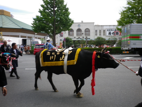 牛嶋神社　大祭_f0118879_23181270.jpg