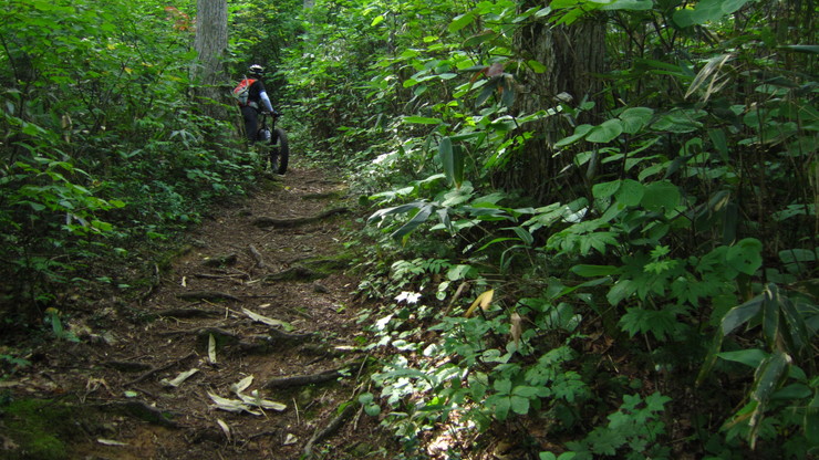 a0242984_334569.jpg
